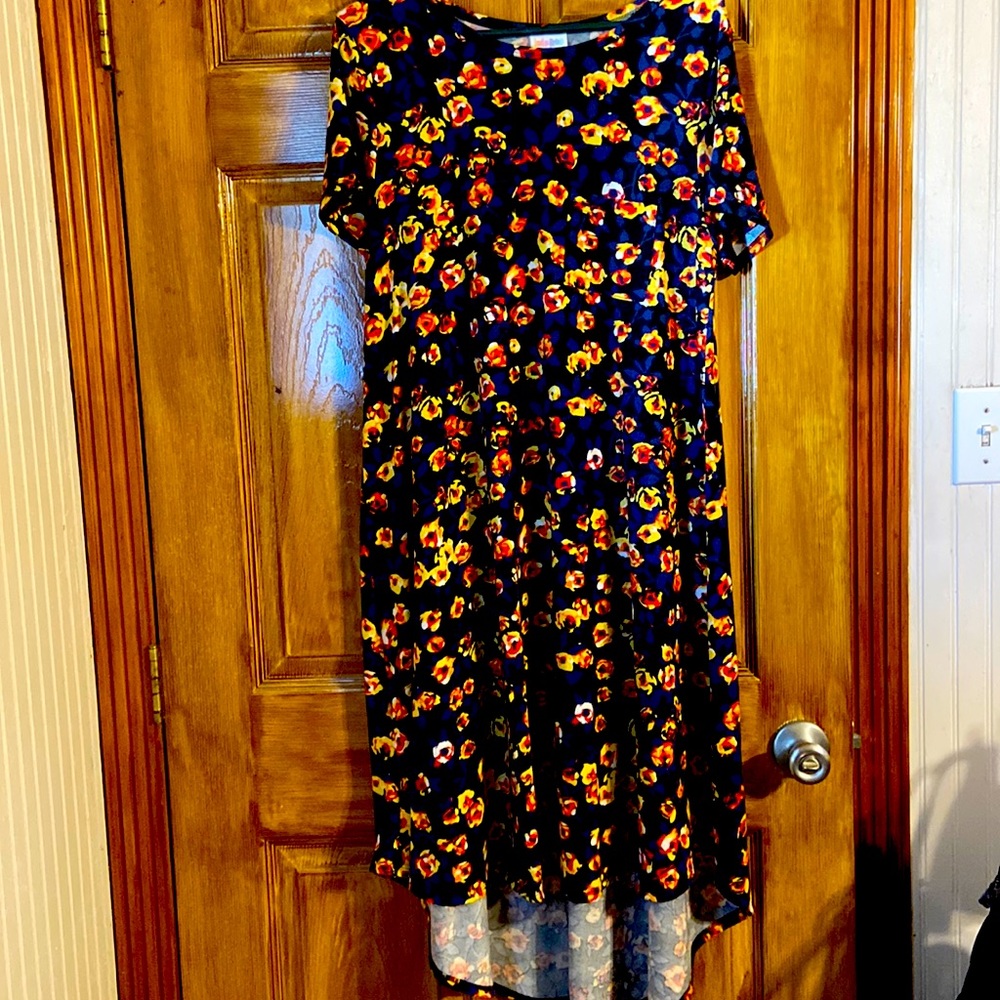 Women’s Lula Roe dress